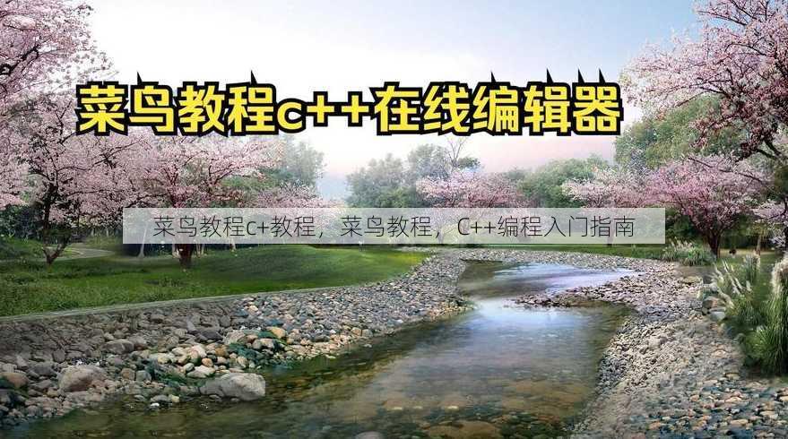 菜鸟教程c+教程