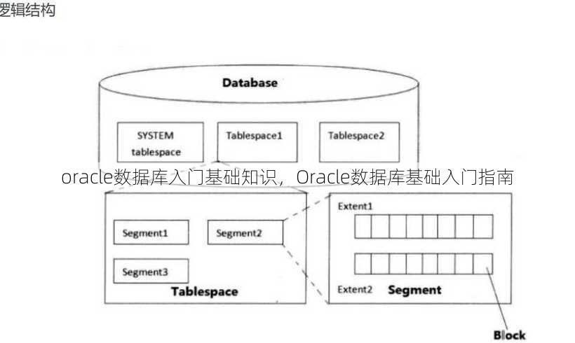 oracle数据库入门基础知识