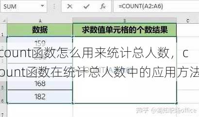 count函数怎么用来统计总人数