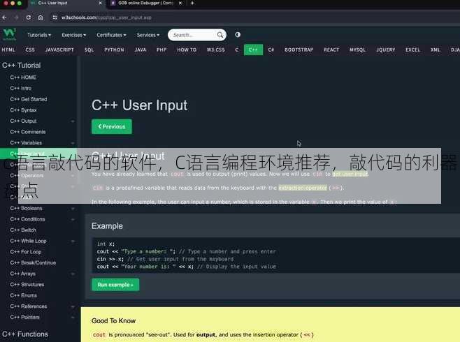 c语言敲代码的软件