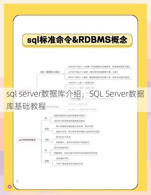 sql server数据库介绍