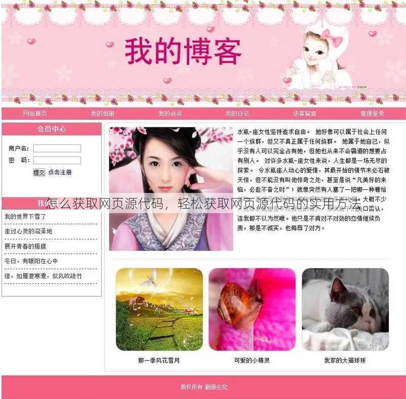 怎么获取网页源代码