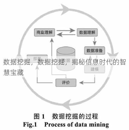 数据挖掘