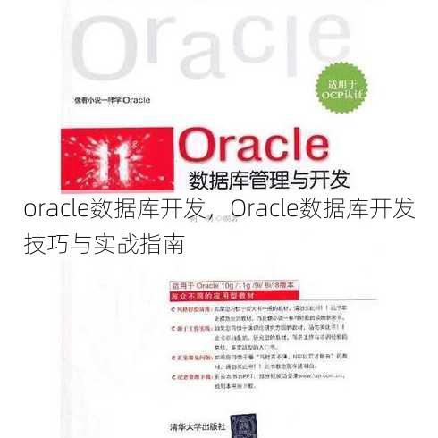 oracle数据库开发