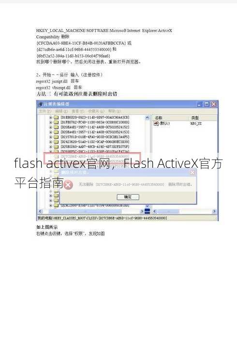 flash activex官网