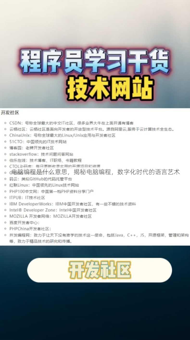 电脑编程是什么意思