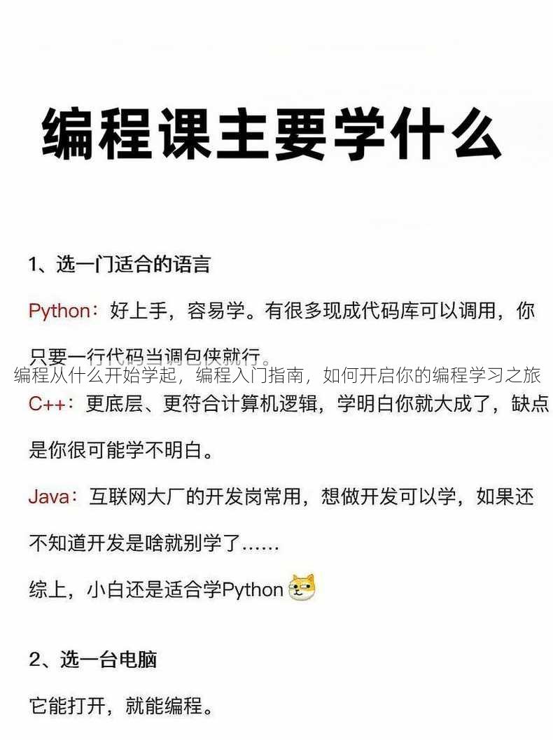 编程从什么开始学起