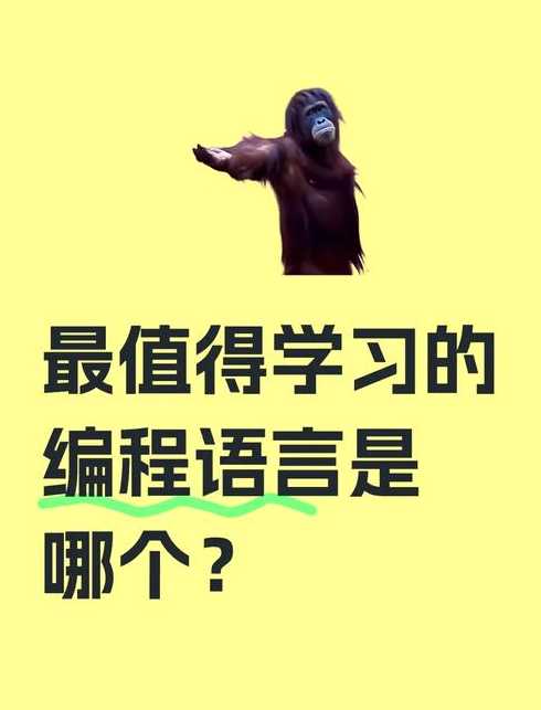 小学生java梗（小学生能学java吗）