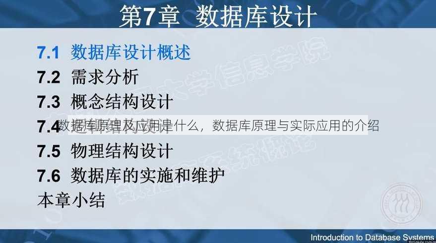 数据库原理及应用是什么
