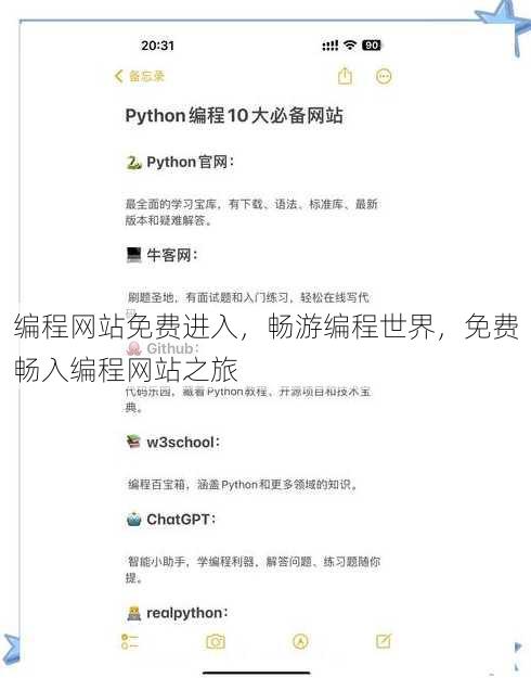 编程网站免费进入