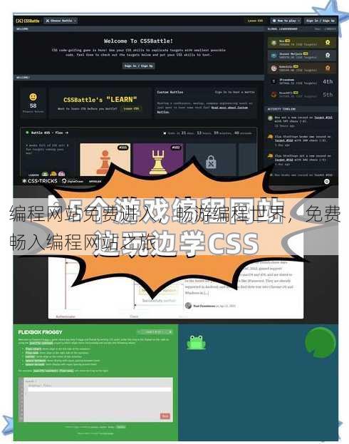 编程网站免费进入