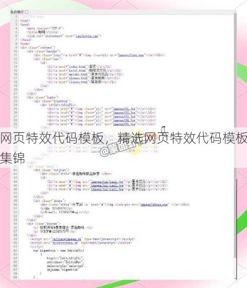网页特效代码模板