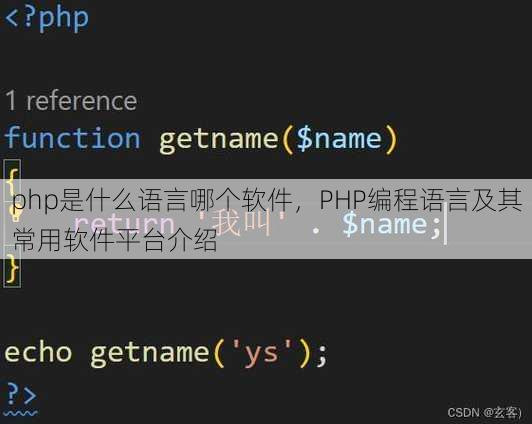 php是什么语言哪个软件