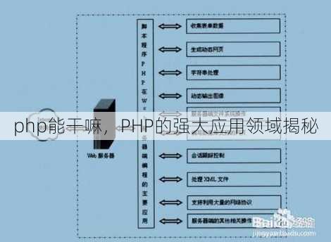 php能干嘛