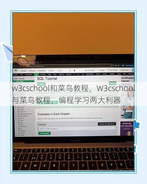 w3cschool和菜鸟教程