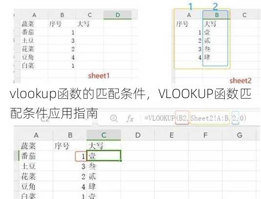 vlookup函数的匹配条件