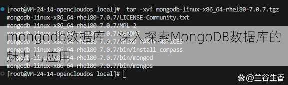 mongodb数据库