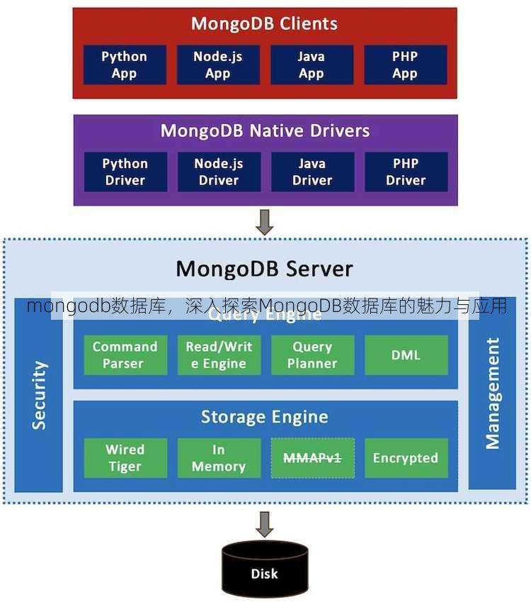 mongodb数据库
