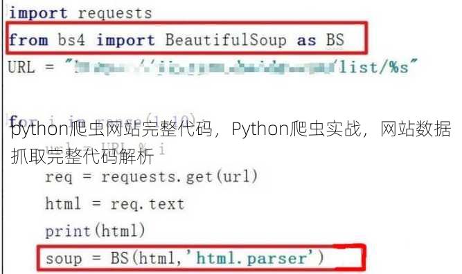 python爬虫网站完整代码