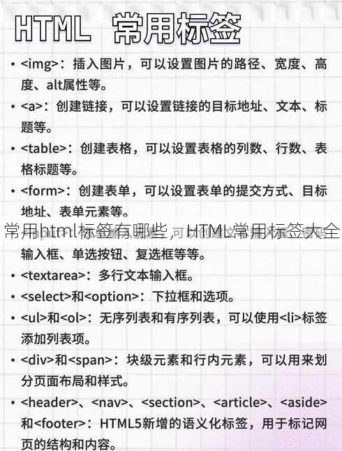 常用html标签有哪些