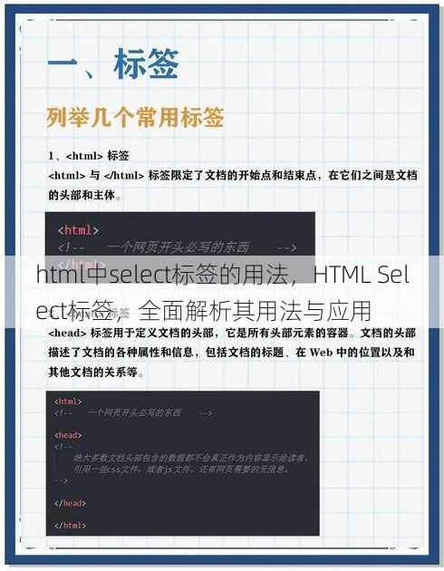 html中select标签的用法