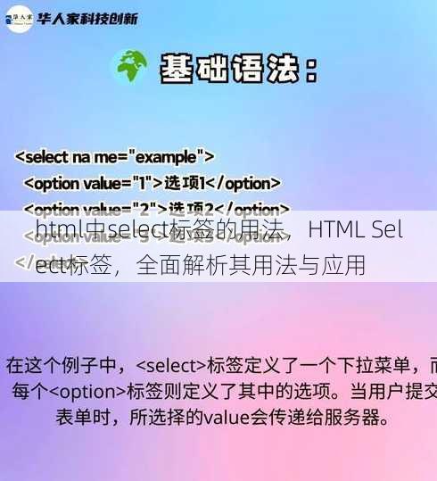 html中select标签的用法