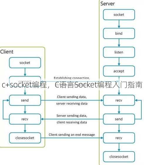c+socket编程