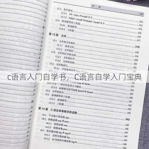 c语言入门自学书