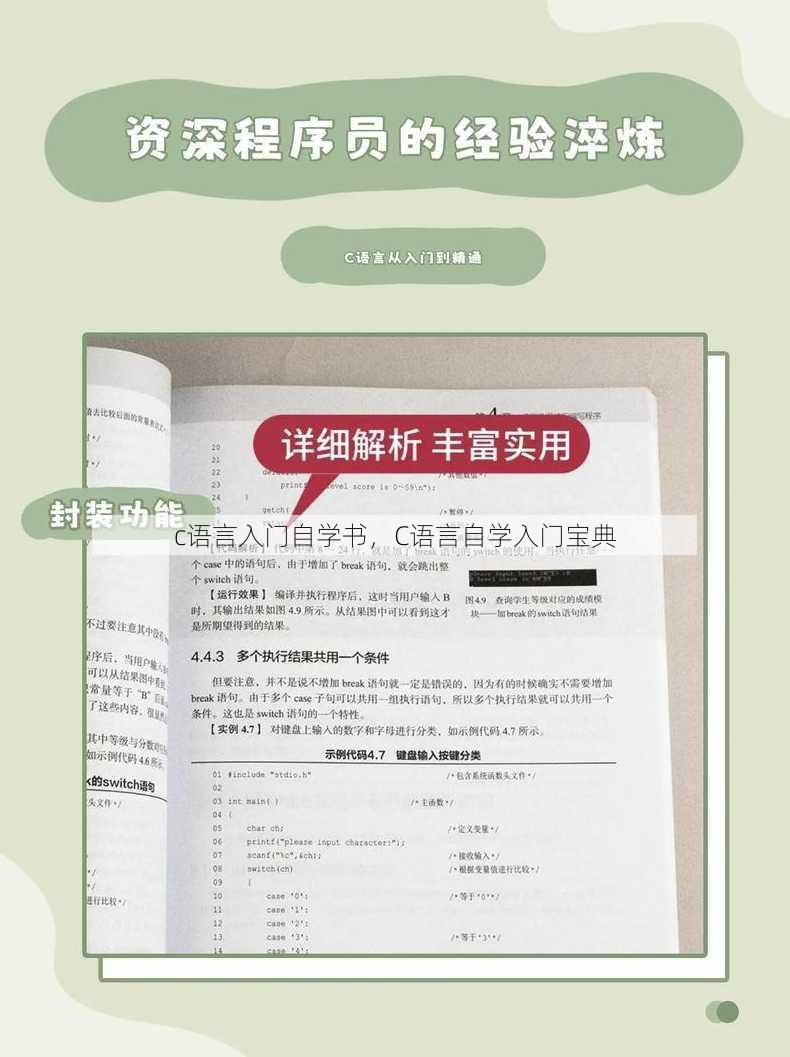 c语言入门自学书