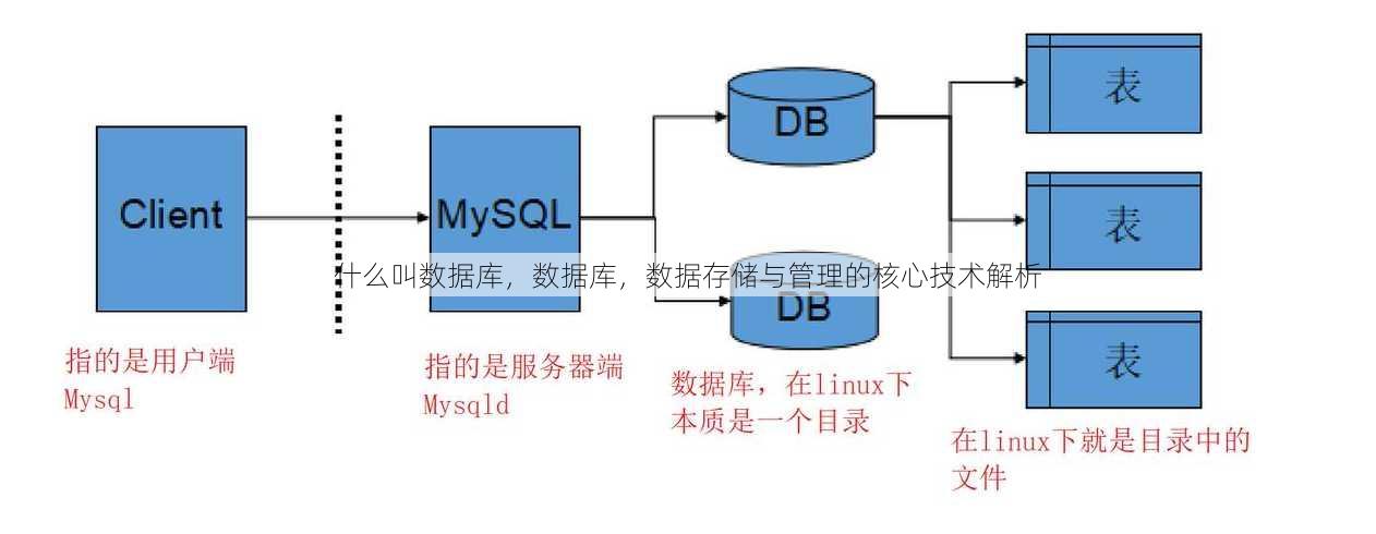 什么叫数据库