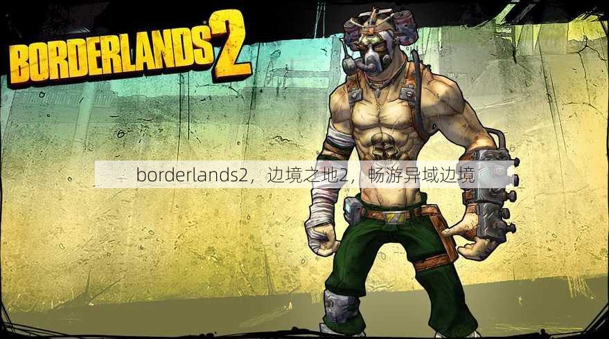 borderlands2