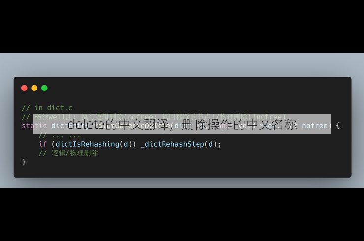delete的中文翻译