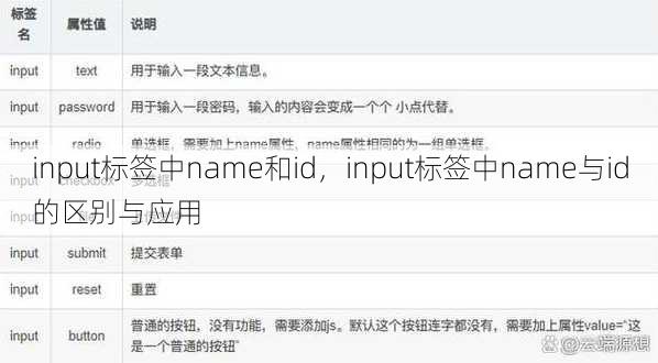 input标签中name和id