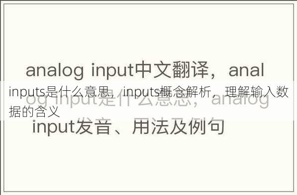 inputs是什么意思