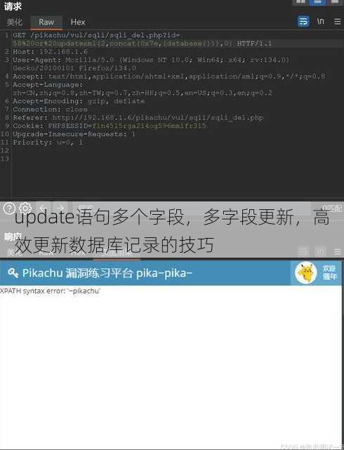 update语句多个字段