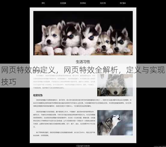网页特效的定义