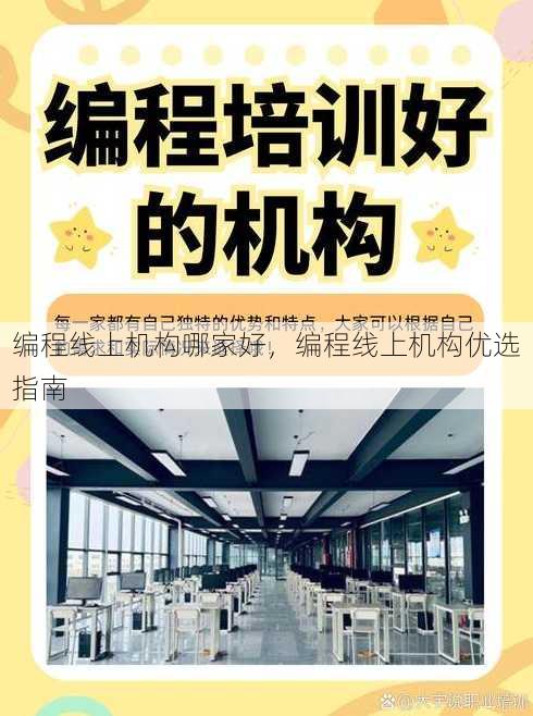 编程线上机构哪家好