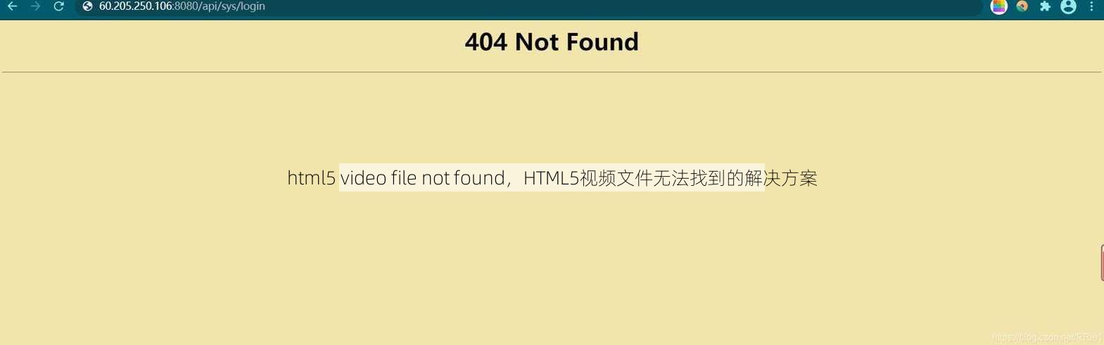 html5 video file not found