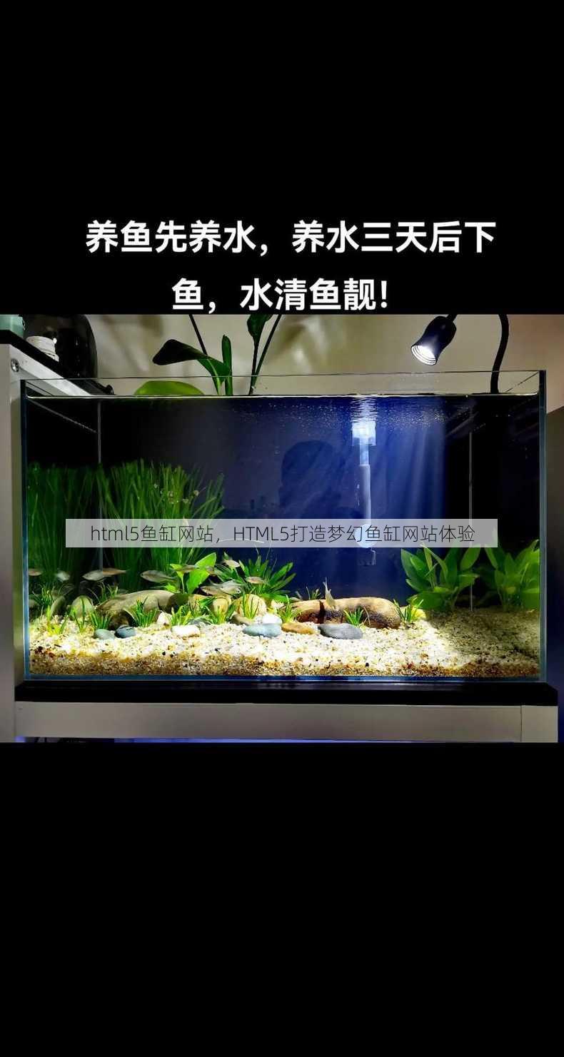 html5鱼缸网站