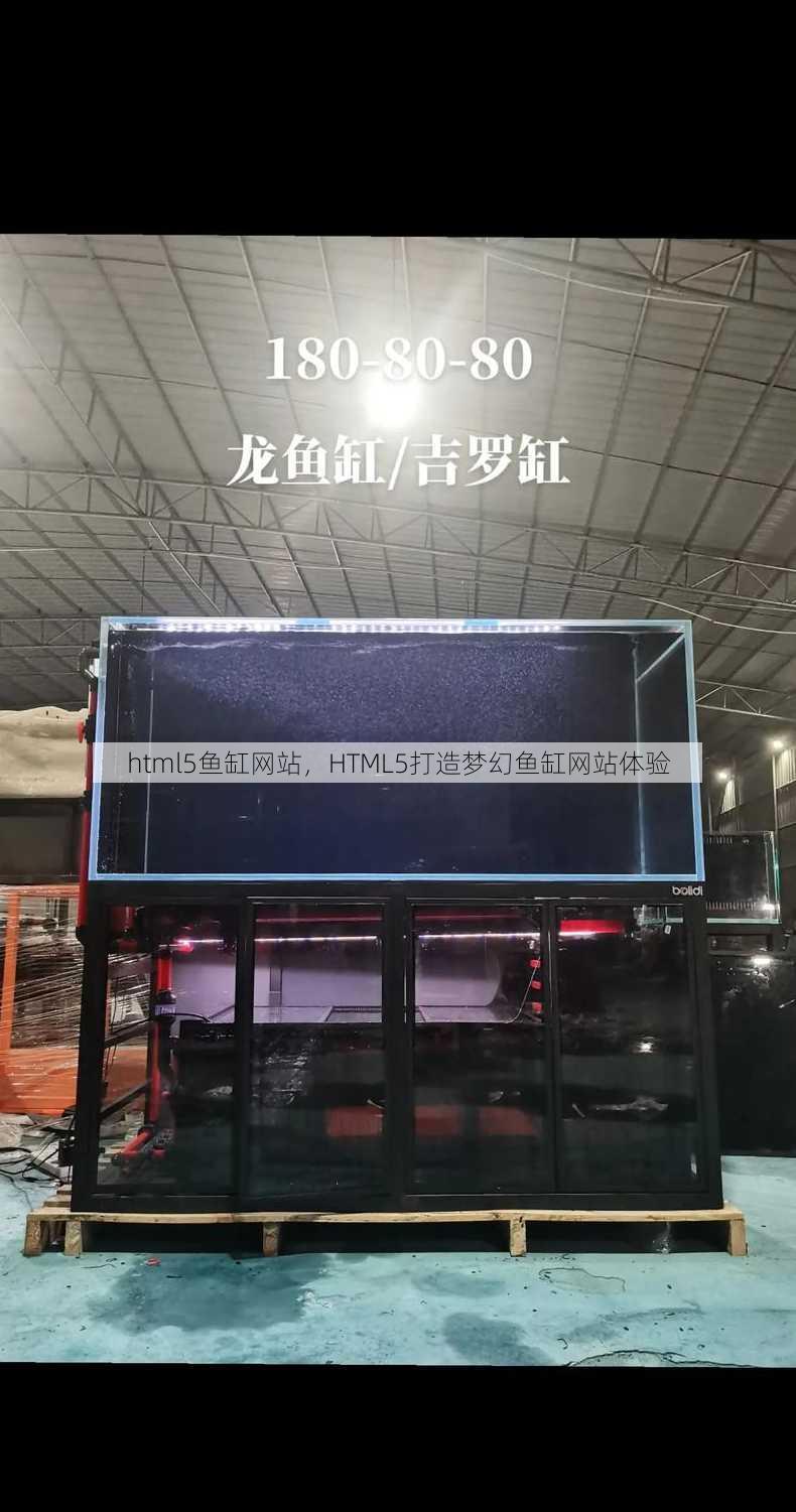 html5鱼缸网站