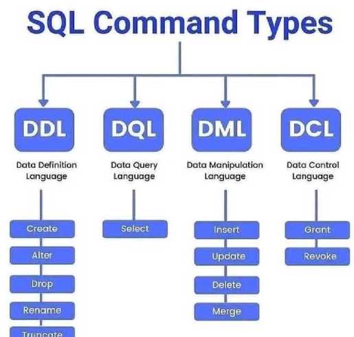 sql语句的种类（sql语言种类）
