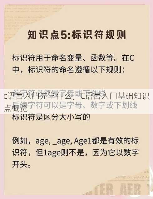 c语言入门先学什么