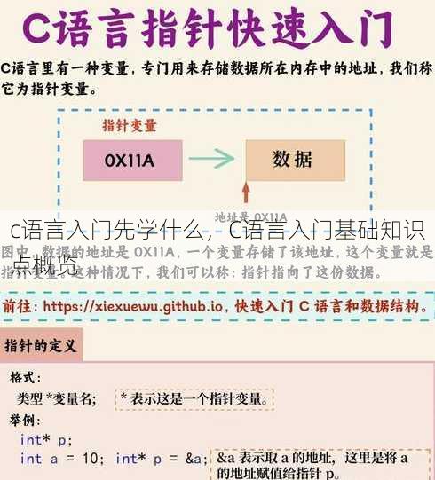 c语言入门先学什么
