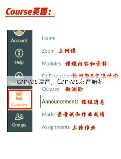 canvas读音