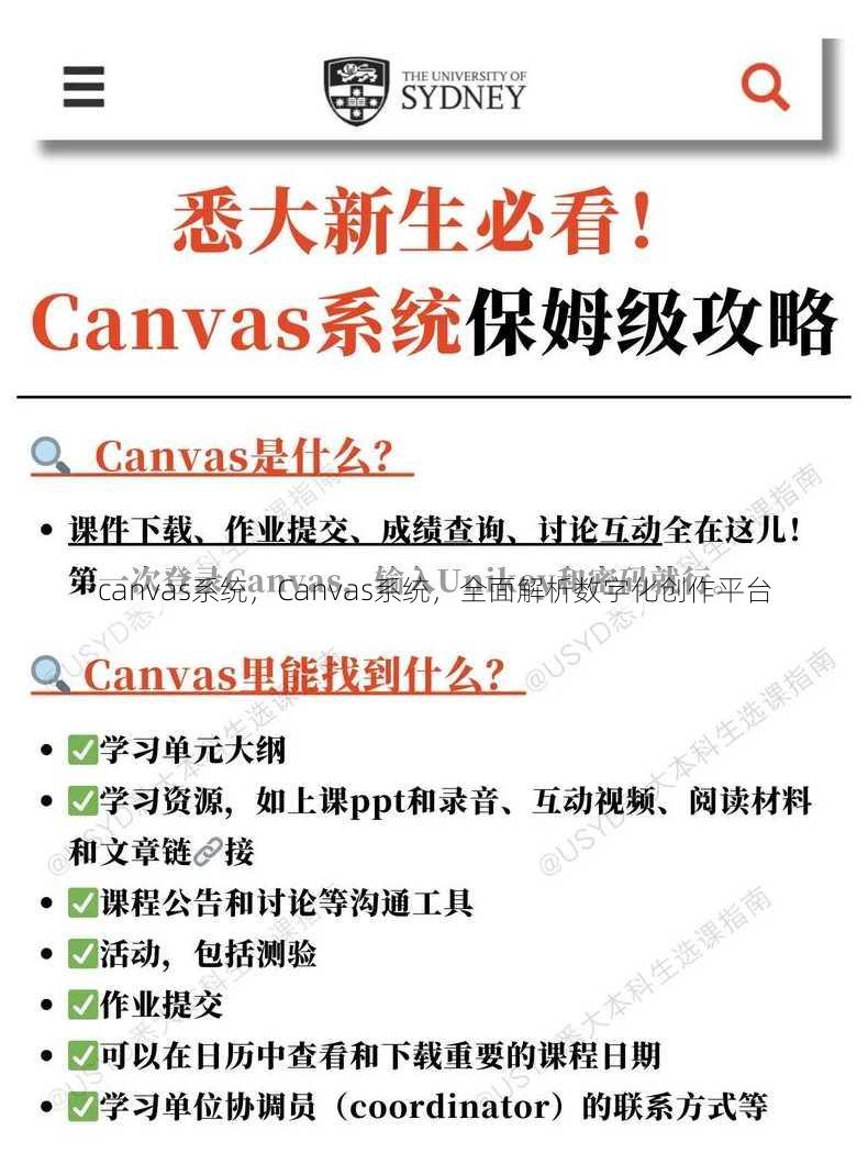 canvas系统