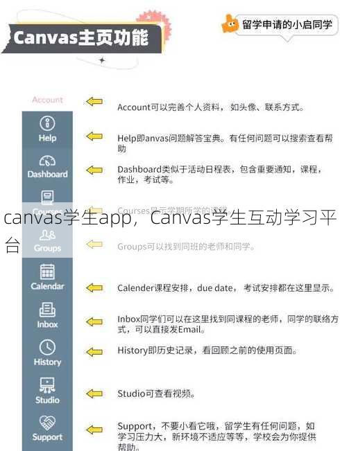 canvas学生app