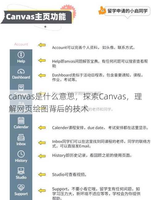 canvas是什么意思