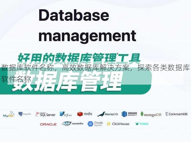 数据库软件名称