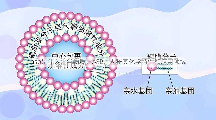 asp是什么化学物质