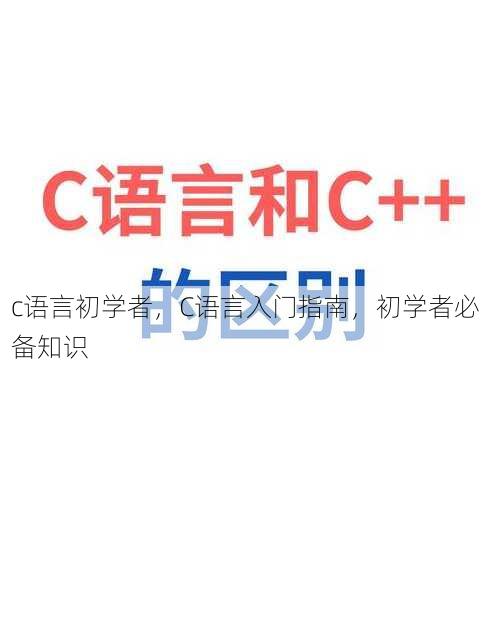 c语言初学者